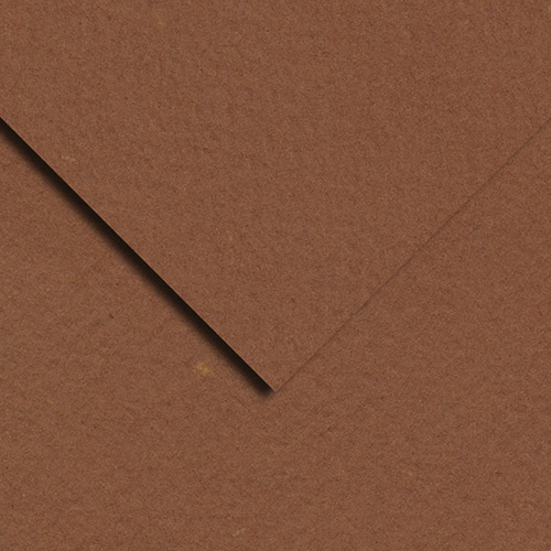 Bee Paper Pastel Paper 19" x 25" - (1 Sheet) Brown