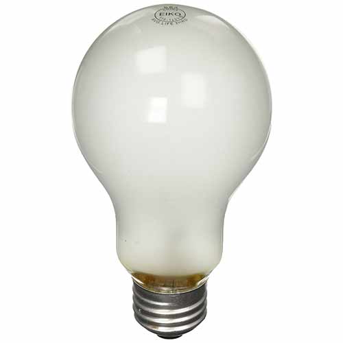 Speedball Photo Flood Bulb (250 Watt)
