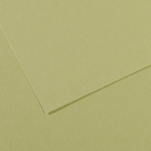 Canson Mi-Teintes Art Board 16" x 20" - Light Green