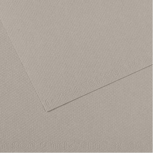 Canson Mi-Teintes Drawing Paper 19" x 25" - Flannel Gray 122