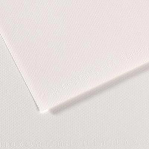 Canson Mi-Teintes Drawing Paper 19" x 25" - White 335