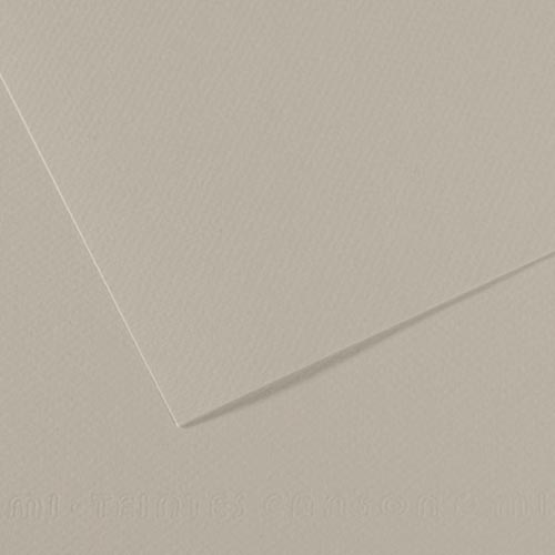 Canson Mi-Teintes Drawing Paper 19" x 25" - Pearl 343