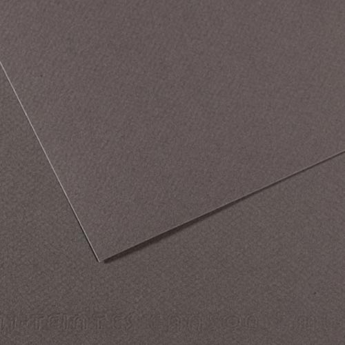 Canson Mi-Teintes Drawing Paper 19" x 25" - Dark Gray 345
