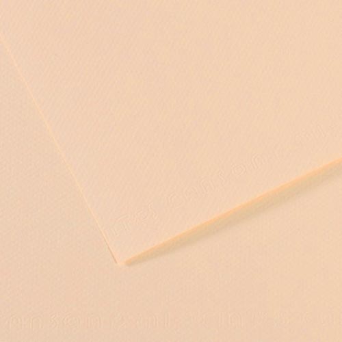 Canson Mi-Teintes Drawing Paper 19" x 25" - Honeysuckle 350