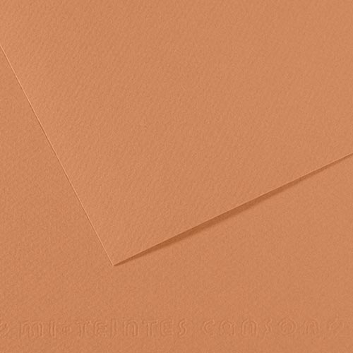 Canson Mi-Teintes Drawing Paper 19" x 25" - Buff 384