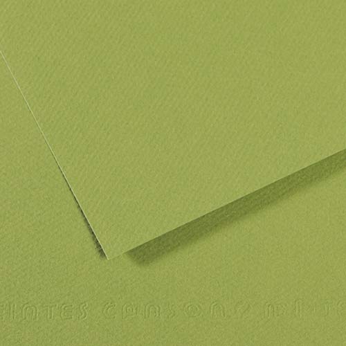 Canson Mi-Teintes Drawing Paper 19" x 25" - Green 475