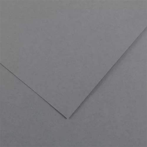 Canson Colorline Paper 19" x 25" - Dark Gray
