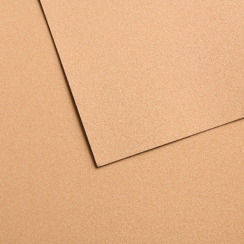 Canson Mi-Teintes Velvet Sheets 19.69" x 25.6" - Golden Beige