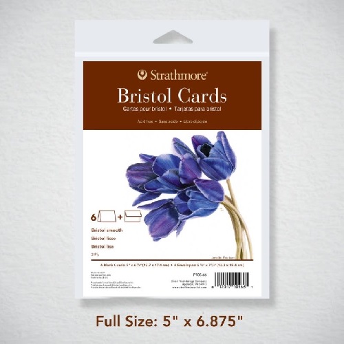 Strathmore Series 400 Bristol Cards and Envelopes straight edges, 5"x 6 7/8", 6Pk  ST105-66