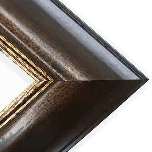 Series 76-466 Dark Antique Gold Frame    16" x 20"     FRMTP-76-466-16x20