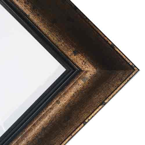 Series 76-488 Antique Gold Frame    14" x 18"